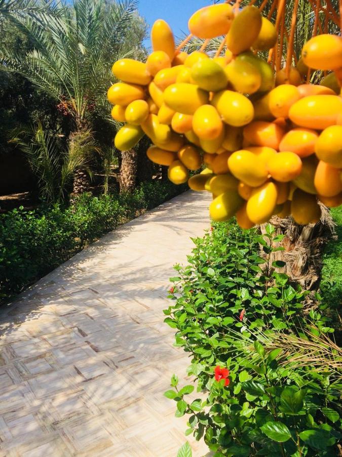 Riad Le Jasmin Тарудант Екстериор снимка