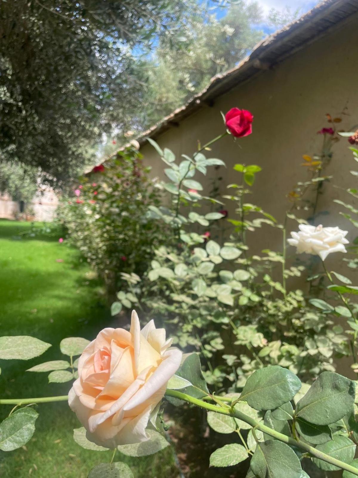 Riad Le Jasmin Тарудант Екстериор снимка