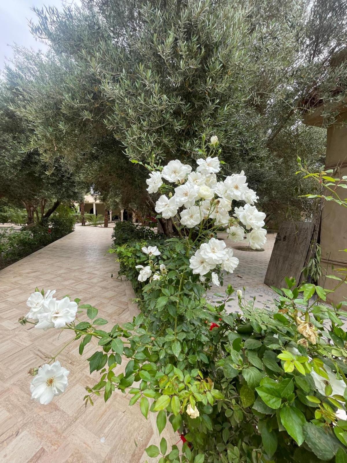Riad Le Jasmin Тарудант Екстериор снимка