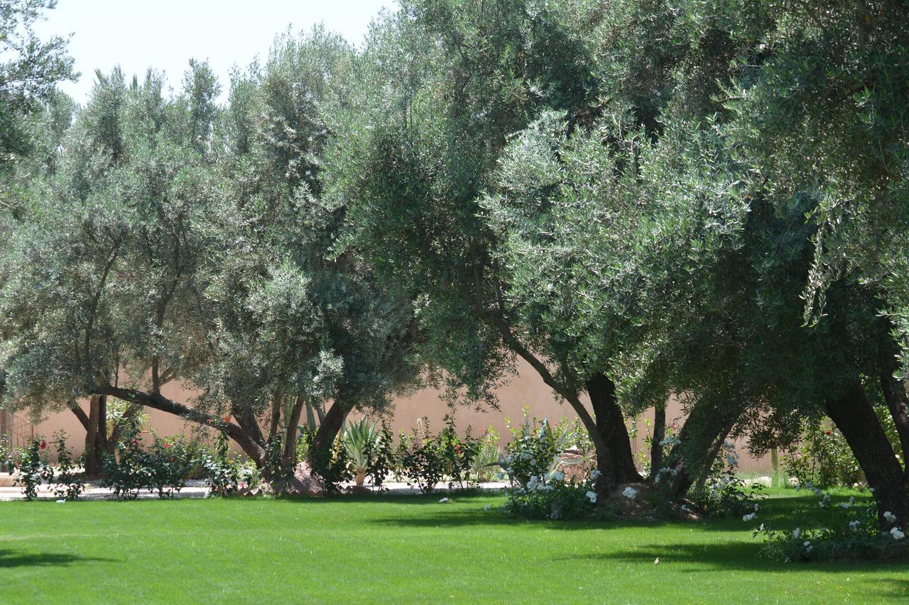 Riad Le Jasmin Тарудант Екстериор снимка